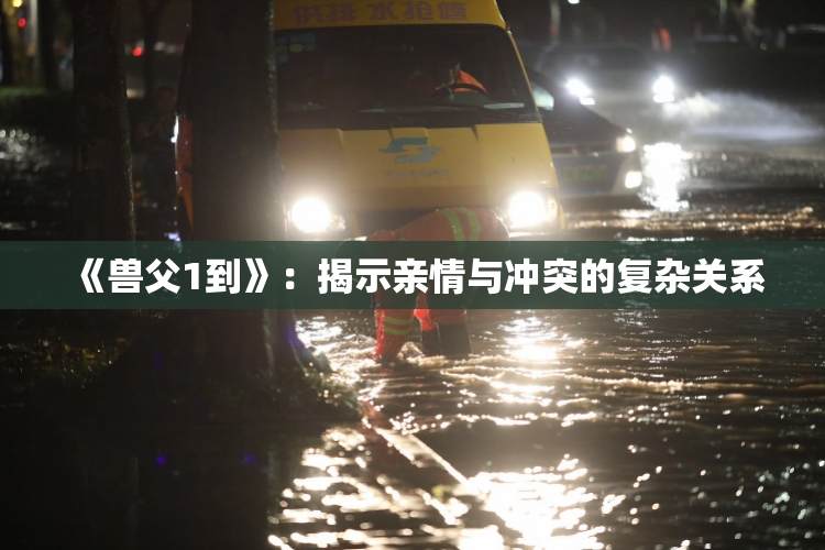 《兽父1到》：揭示亲情与冲突的复杂关系