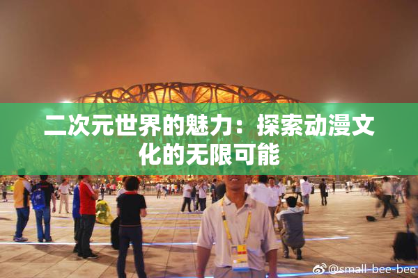 二次元世界的魅力：探索动漫文化的无限可能