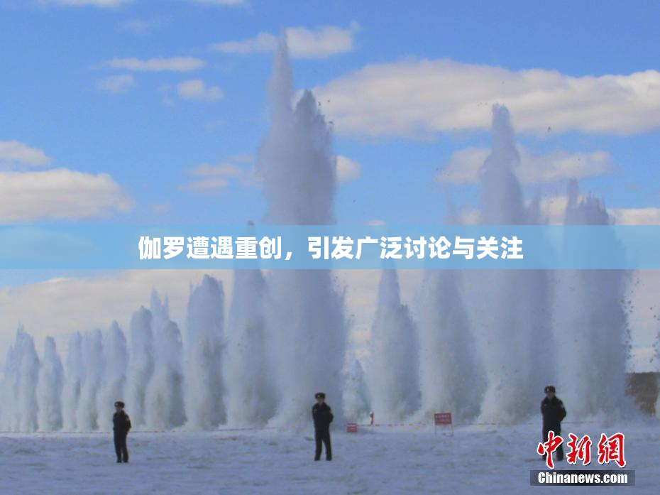 伽罗遭遇重创，引发广泛讨论与关注