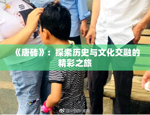 《唐砖》：探索历史与文化交融的精彩之旅