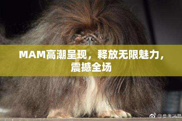 MAM高潮呈现，释放无限魅力，震撼全场