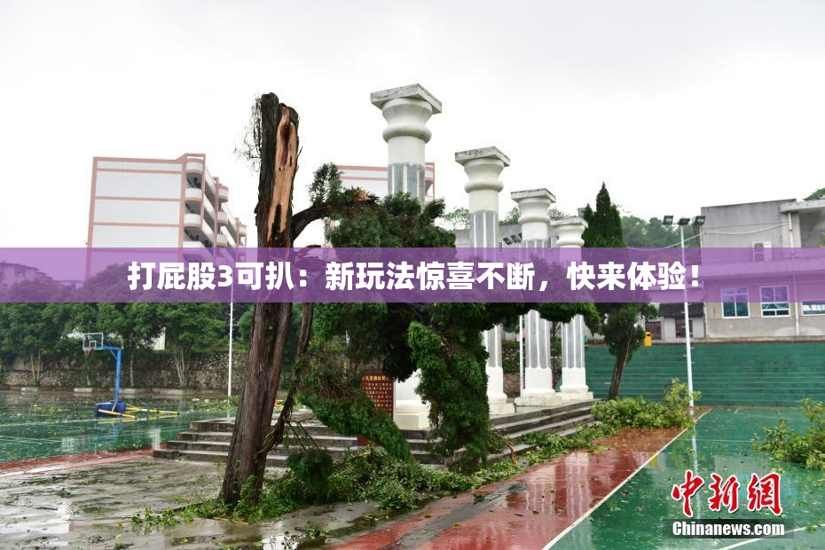 打屁股3可扒：新玩法惊喜不断，快来体验！