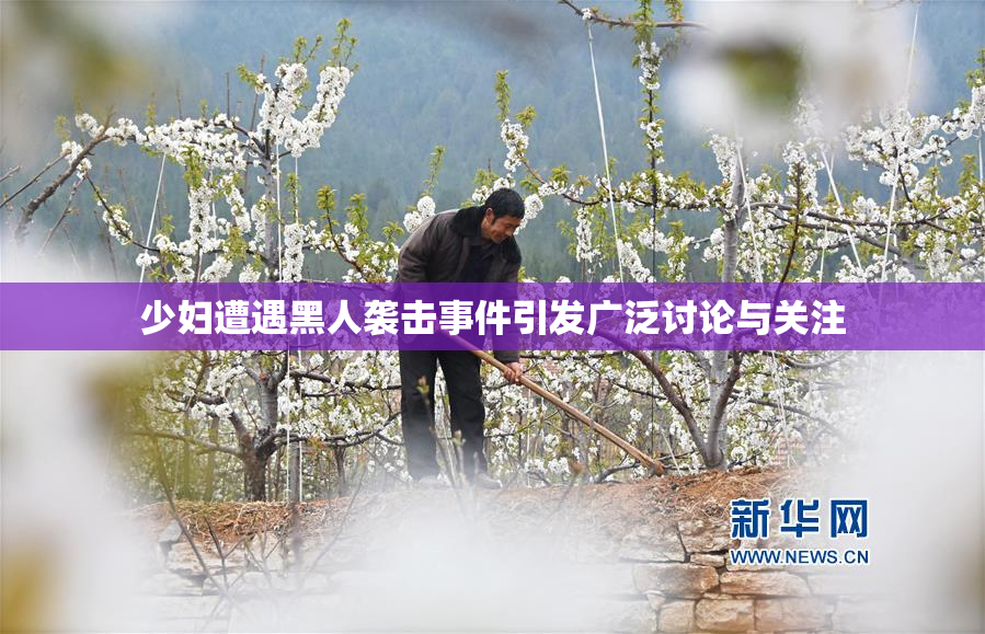 少妇遭遇黑人袭击事件引发广泛讨论与关注