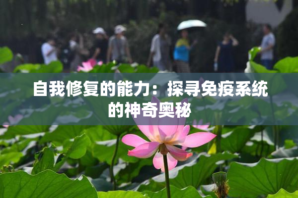 自我修复的能力：探寻免疫系统的神奇奥秘