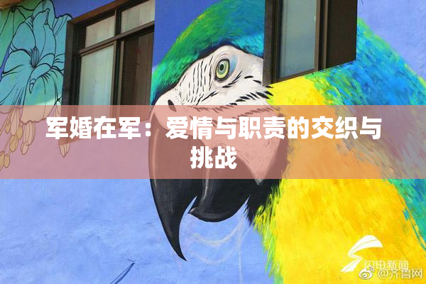军婚在军：爱情与职责的交织与挑战