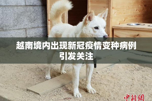 越南境内出现新冠疫情变种病例引发关注