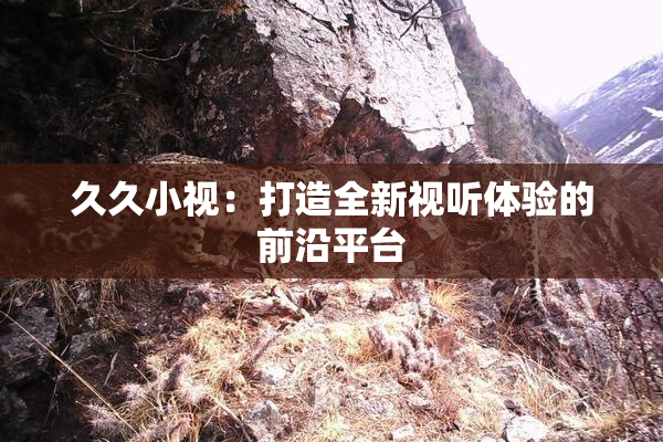 久久小视：打造全新视听体验的前沿平台