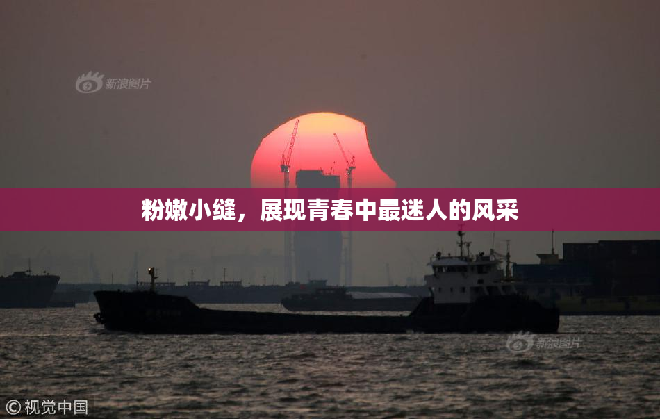 粉嫩小缝，展现青春中最迷人的风采