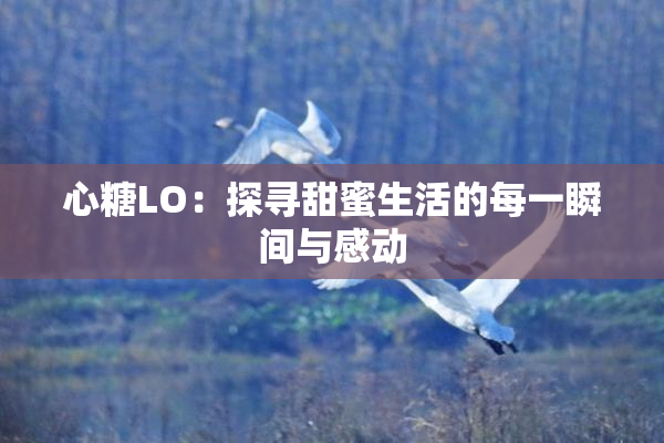 心糖LO：探寻甜蜜生活的每一瞬间与感动