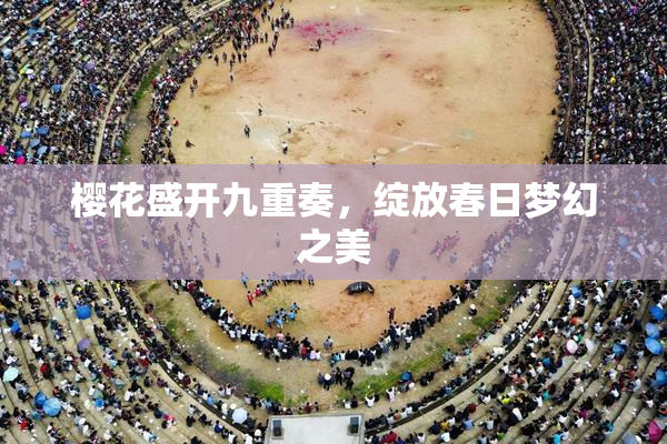 樱花盛开九重奏，绽放春日梦幻之美
