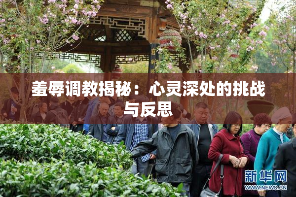 羞辱调教揭秘：心灵深处的挑战与反思