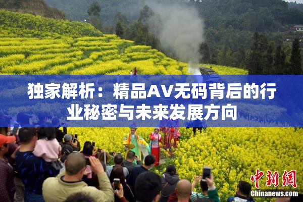 独家解析：精品AV无码背后的行业秘密与未来发展方向
