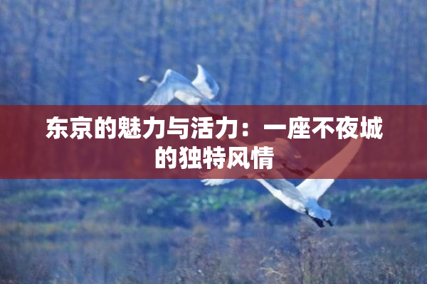 东京的魅力与活力：一座不夜城的独特风情
