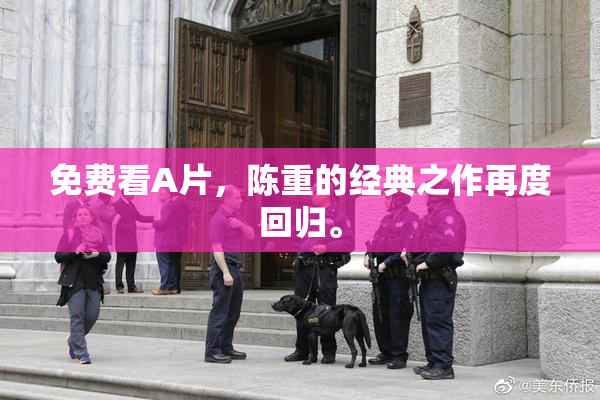 免费看A片，陈重的经典之作再度回归。