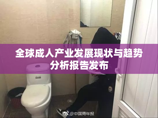 全球成人产业发展现状与趋势分析报告发布