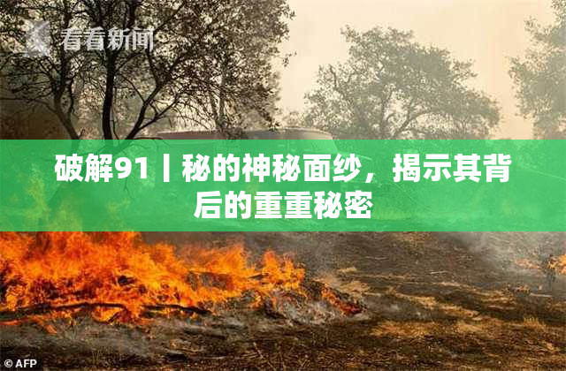 破解91丨秘的神秘面纱，揭示其背后的重重秘密