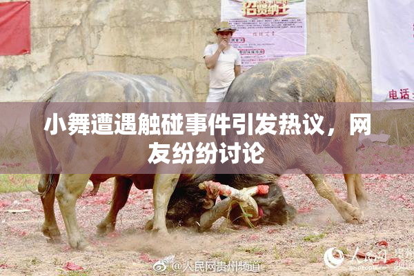 小舞遭遇触碰事件引发热议，网友纷纷讨论