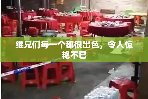 继兄们每一个都很出色，令人惊艳不已