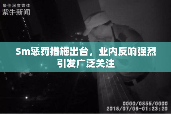 Sm惩罚措施出台，业内反响强烈引发广泛关注