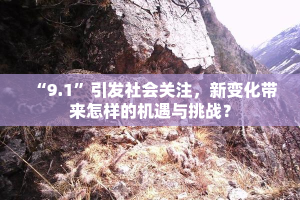 “9.1”引发社会关注，新变化带来怎样的机遇与挑战？