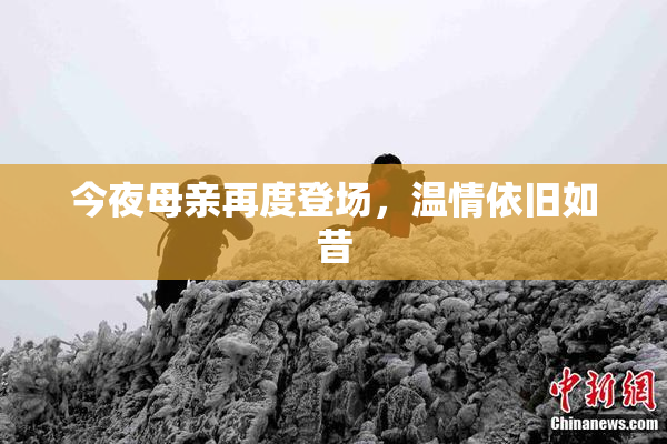 今夜母亲再度登场，温情依旧如昔