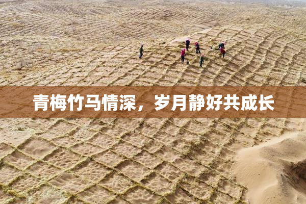 青梅竹马情深，岁月静好共成长