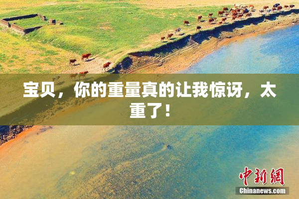 宝贝，你的重量真的让我惊讶，太重了！