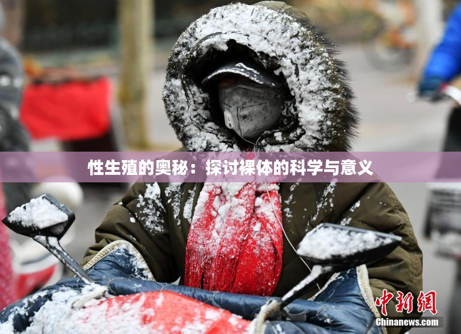 性生殖的奥秘：探讨裸体的科学与意义