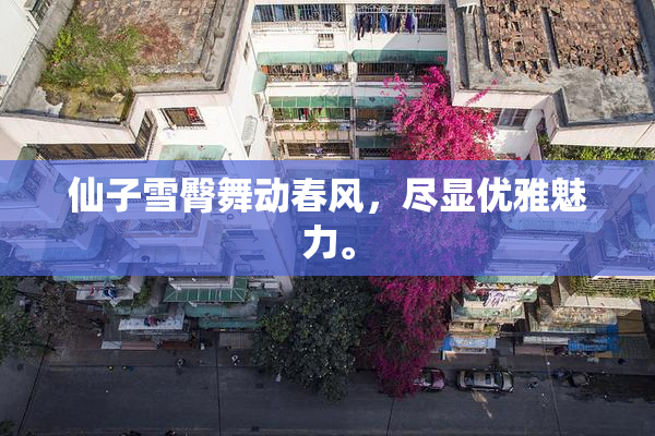 仙子雪臀舞动春风，尽显优雅魅力。