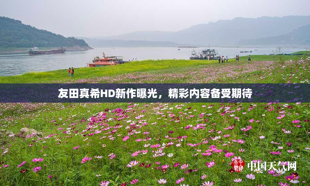 友田真希HD新作曝光，精彩内容备受期待