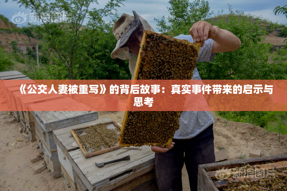 《公交人妻被重写》的背后故事：真实事件带来的启示与思考