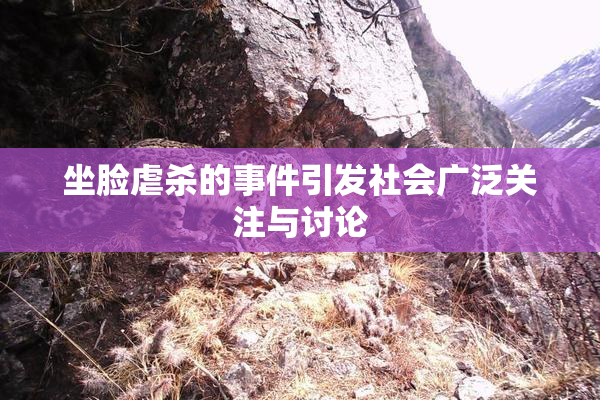 坐脸虐杀的事件引发社会广泛关注与讨论
