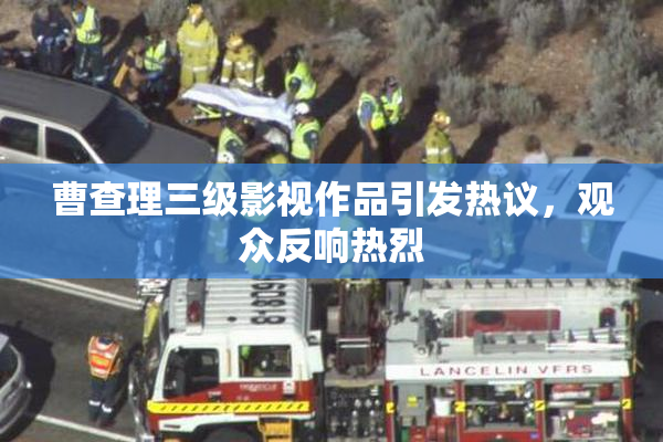 曹查理三级影视作品引发热议，观众反响热烈