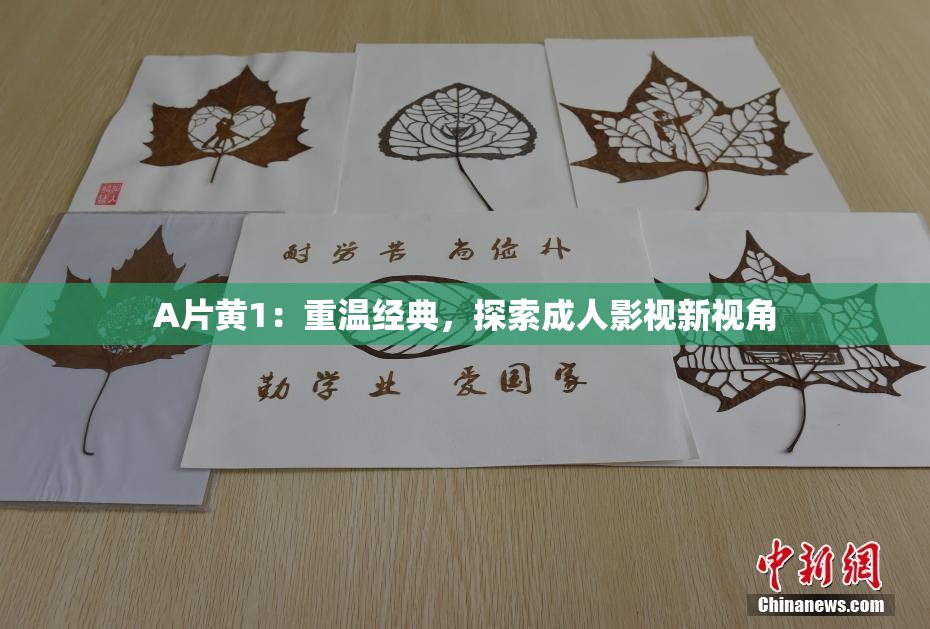 A片黄1：重温经典，探索成人影视新视角