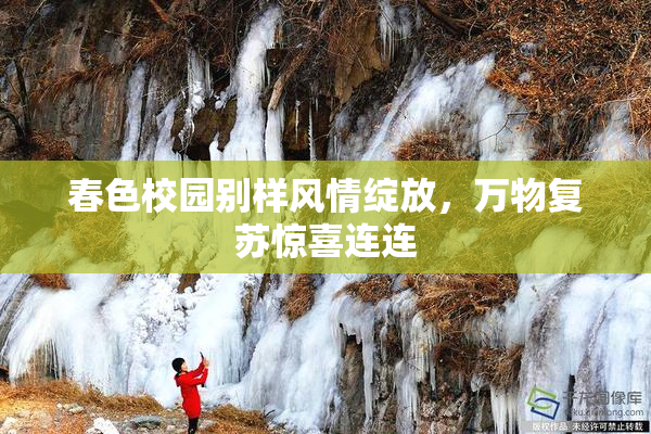 春色校园别样风情绽放，万物复苏惊喜连连