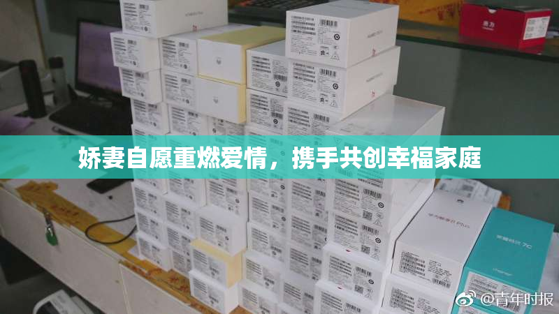 娇妻自愿重燃爱情，携手共创幸福家庭