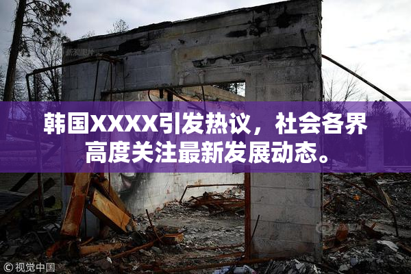 韩国XXXX引发热议，社会各界高度关注最新发展动态。