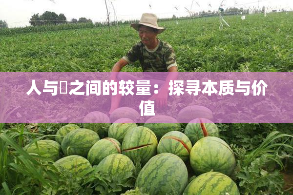 人与嘼之间的较量：探寻本质与价值