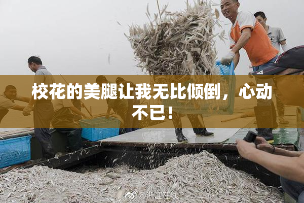 校花的美腿让我无比倾倒，心动不已！