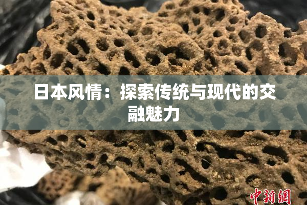日本风情：探索传统与现代的交融魅力