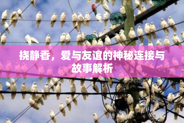 挠静香，爱与友谊的神秘连接与故事解析