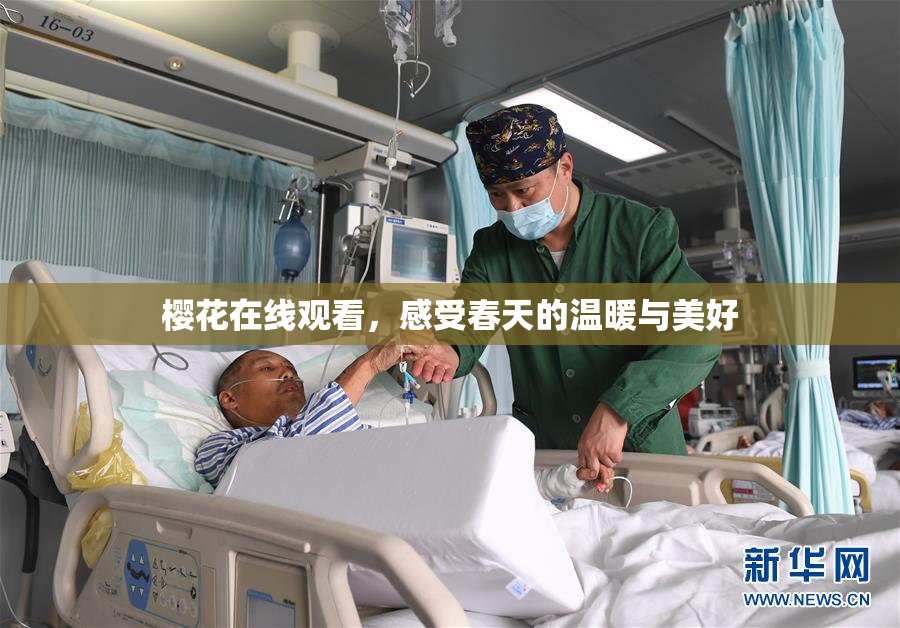 樱花在线观看，感受春天的温暖与美好