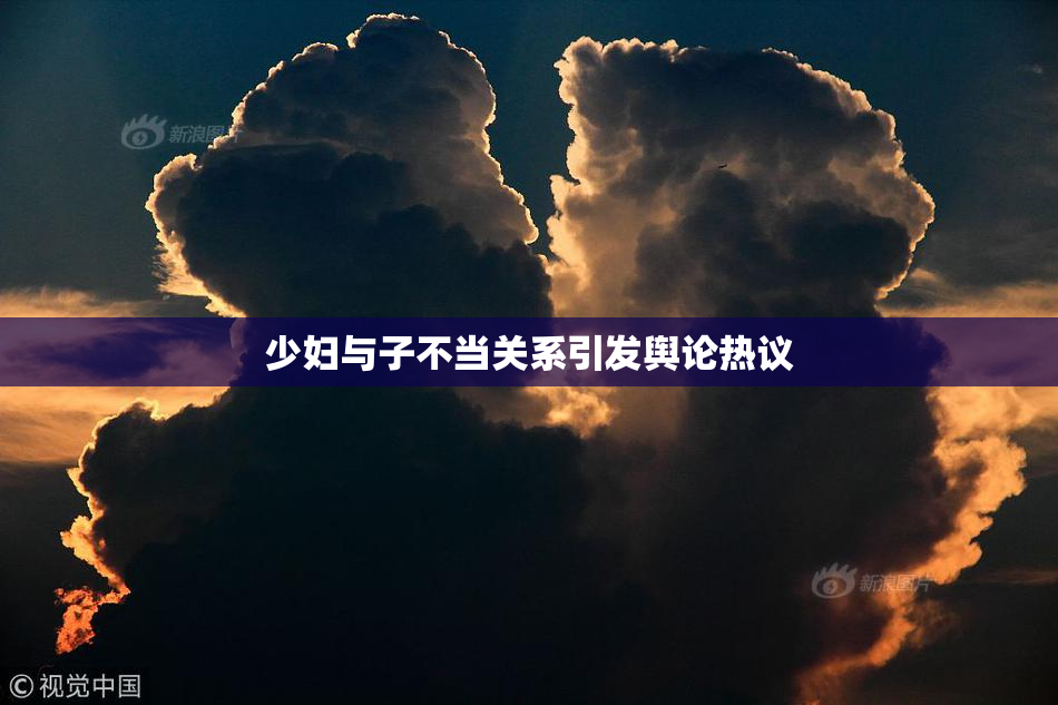 少妇与子不当关系引发舆论热议