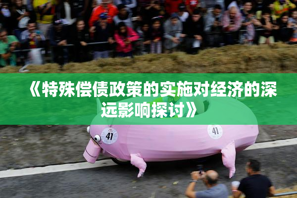 《特殊偿债政策的实施对经济的深远影响探讨》