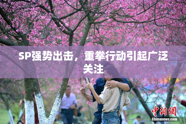SP强势出击，重拳行动引起广泛关注