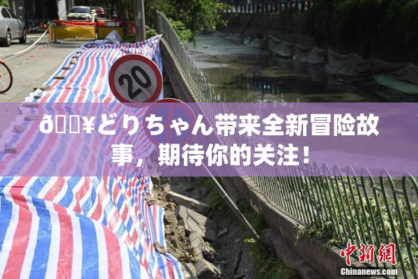 🔥どりちゃん带来全新冒险故事，期待你的关注！