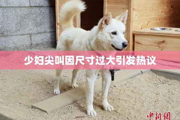 少妇尖叫因尺寸过大引发热议