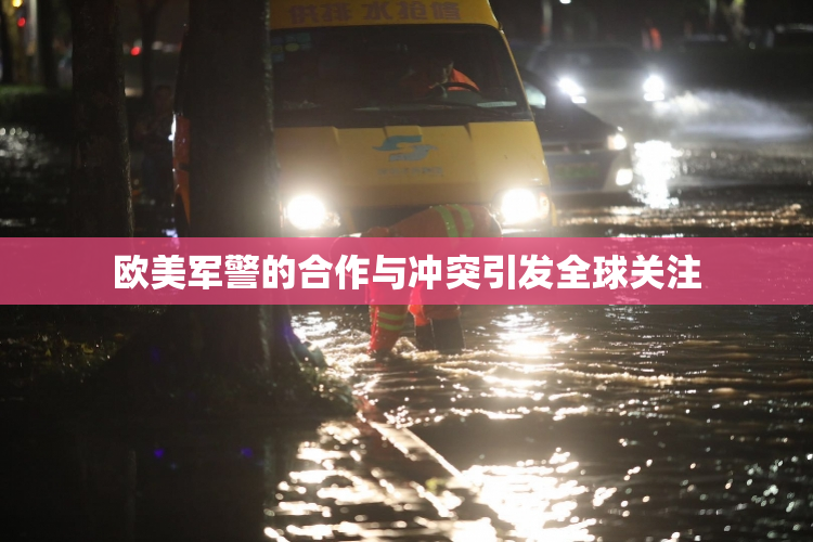欧美军警的合作与冲突引发全球关注