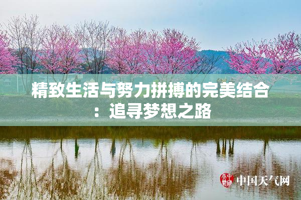 精致生活与努力拼搏的完美结合：追寻梦想之路