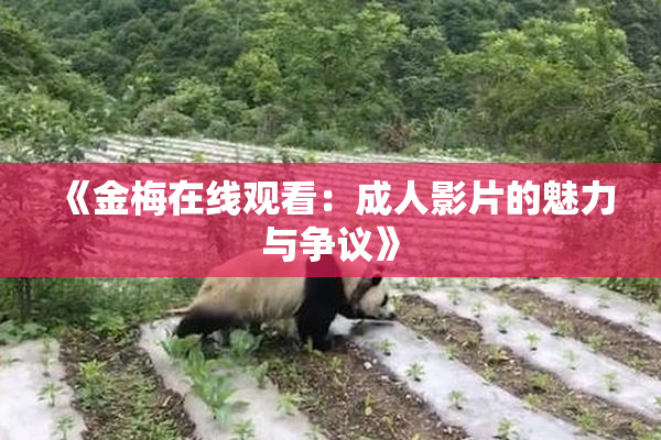 《金梅在线观看：成人影片的魅力与争议》